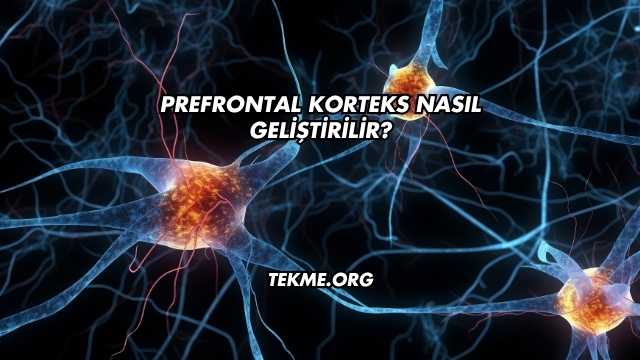Prefrontal Korteks Nasıl Geliştirilir?