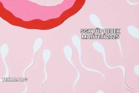 SGK Tüp Bebek Maliyeti 2025