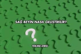 Sağ Beyin Nasıl Geliştirilir?