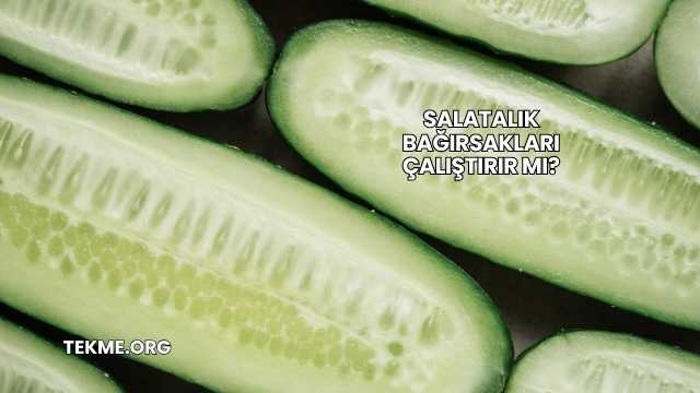 Salatalık Bağırsakları Çalıştırır mı?