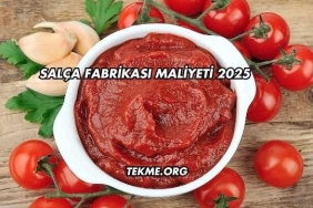 Salça Fabrikası Maliyeti 2025