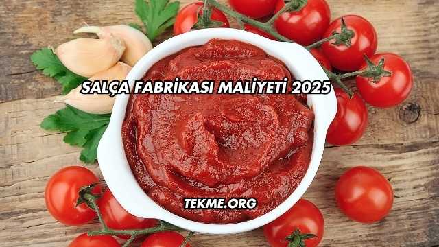 Salça Fabrikası Maliyeti 2025