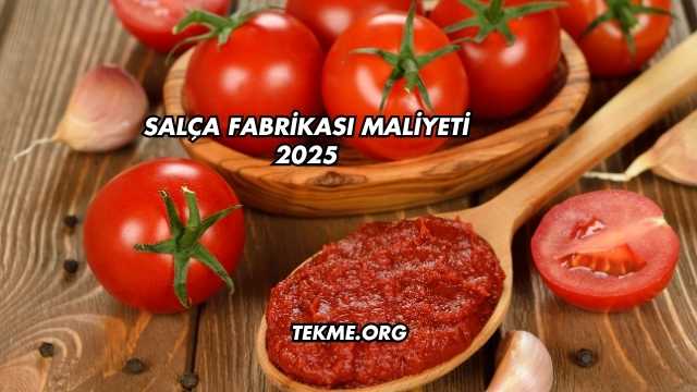 Salça Fabrikası Maliyeti 2025