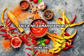 Salça Ne Zaman Yapılır?