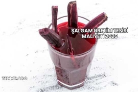 Şalgam Üretim Tesisi Maliyeti 2025