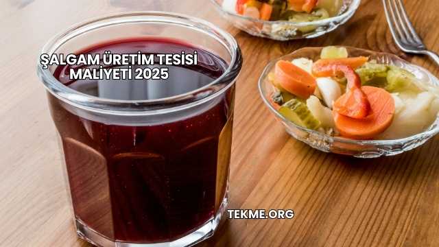 Şalgam Üretim Tesisi Maliyeti 2025