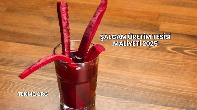 Şalgam Üretim Tesisi Maliyeti 2025