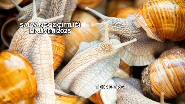 Salyangoz Çiftliği Maliyeti 2025