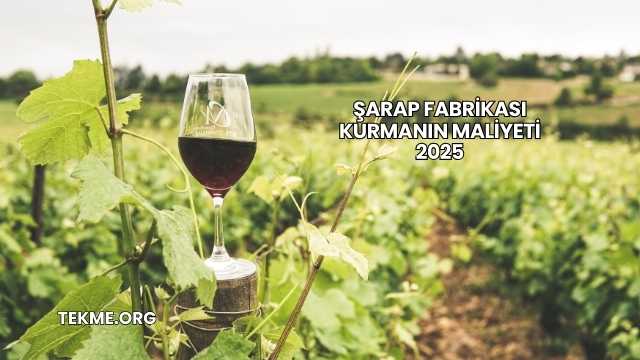 Şarap Fabrikası Kurmanın Maliyeti 2025