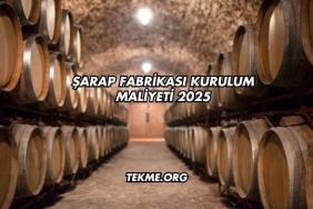 Şarap Fabrikası Kurulum Maliyeti 2025