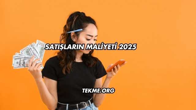 Satışların Maliyeti 2025