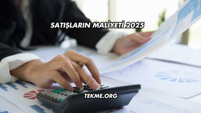Satışların Maliyeti 2025