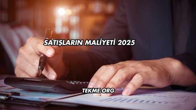 Satışların Maliyeti 2025
