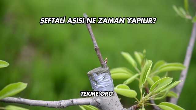 Şeftali Aşısı Ne Zaman Yapılır?