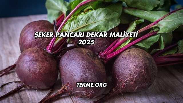 Şeker Pancarı Dekar Maliyeti 2025