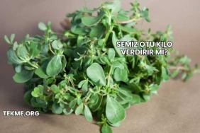 Semiz Otu Kilo Verdirir mi?