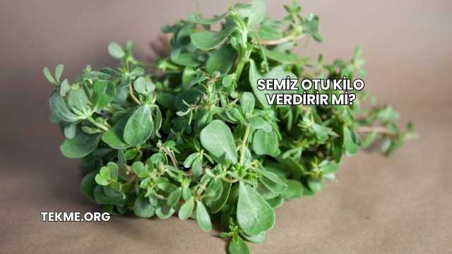 Semiz Otu Kilo Verdirir mi?