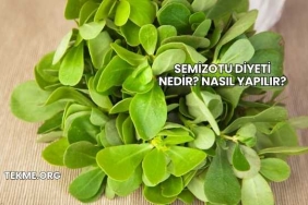 Semizotu Diyeti Nedir? Nasıl Yapılır?