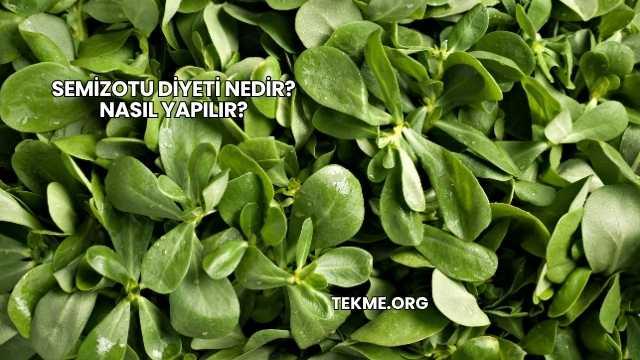 Semizotu Diyeti Nedir? Nasıl Yapılır?