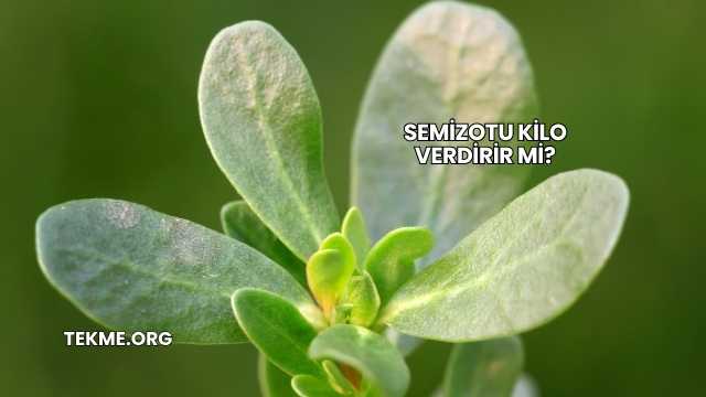 Semizotu Kilo Verdirir mi?