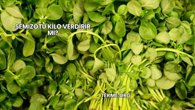 Semizotu Kilo Verdirir mi?