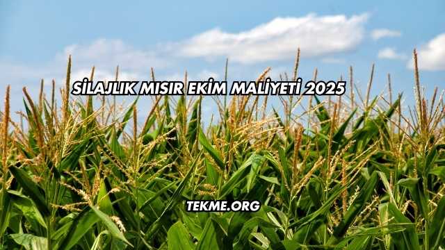 Silajlık Mısır Ekim Maliyeti 2025
