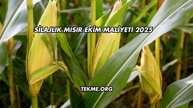 Silajlık Mısır Ekim Maliyeti 2025