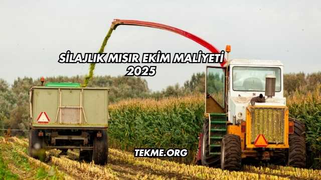 Silajlık Mısır Ekim Maliyeti 2025
