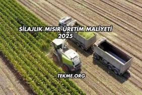 Silajlık Mısır Üretim Maliyeti 2025