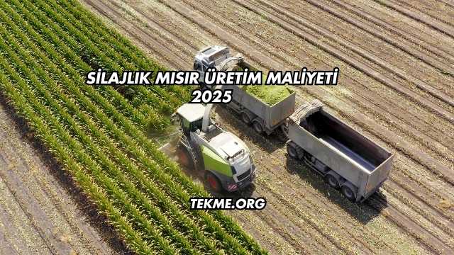 Silajlık Mısır Üretim Maliyeti 2025
