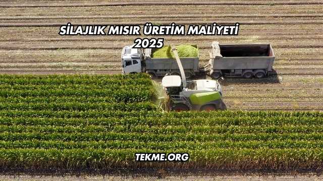 Silajlık Mısır Üretim Maliyeti 2025