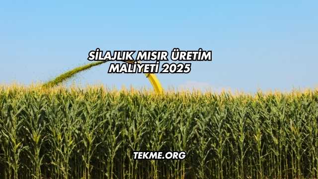 Silajlık Mısır Üretim Maliyeti 2025