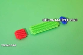 Silikon Maliyeti 2025