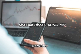Şişecam Hissesi Alınır mı?