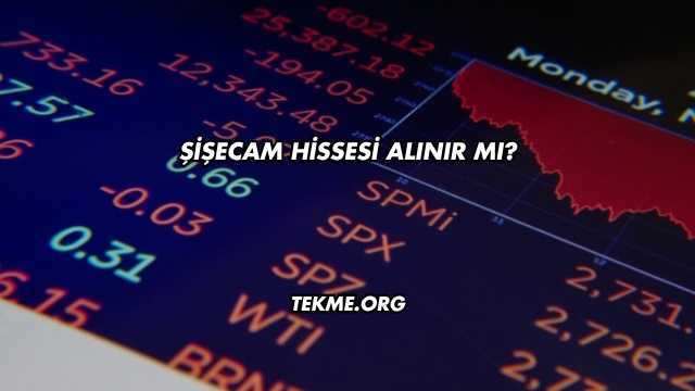 Şişecam Hissesi Alınır mı?