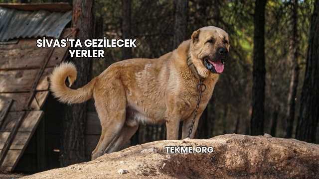 Sivas'ta Gezilecek Yerler
