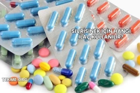 Sivrisinek İçin Hangi İlaç Kullanılır?
