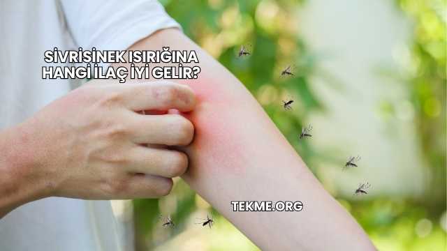 Sivrisinek Isırığına Hangi İlaç İyi Gelir?