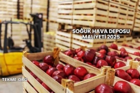 Soğuk Hava Deposu Maliyeti 2025