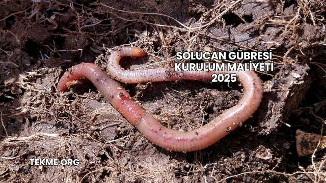 Solucan Gübresi Kurulum Maliyeti 2025