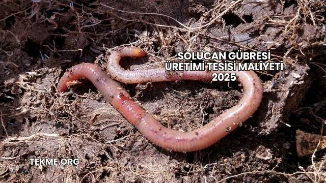 Solucan Gübresi Üretimi Tesisi Maliyeti 2025