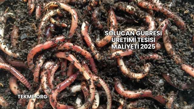 Solucan Gübresi Üretimi Tesisi Maliyeti 2025