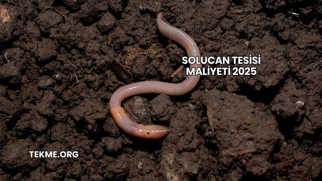 Solucan Tesisi Maliyeti 2025