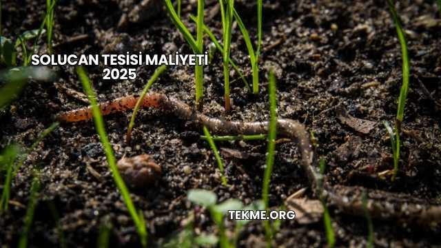 Solucan Tesisi Maliyeti 2025