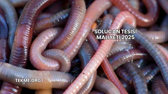 Solucan Tesisi Maliyeti 2025