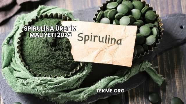 Spirulina Üretim Maliyeti 2025