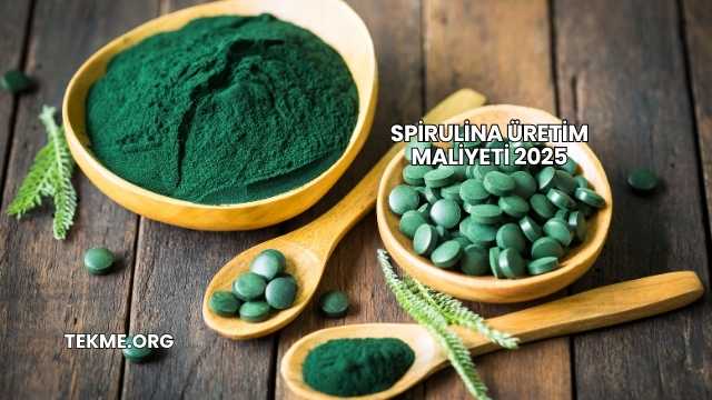 Spirulina Üretim Maliyeti 2025