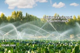 Sprinkler Sistemi Maliyeti 2025