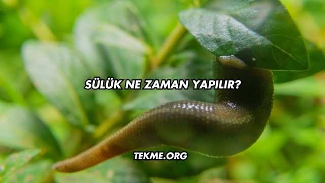 Sülük Ne Zaman Yapılır?