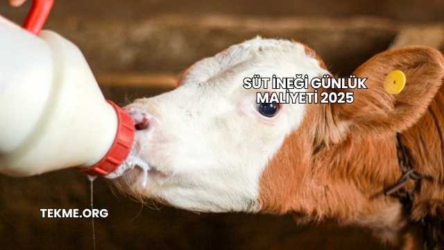 Süt İneği Günlük Maliyeti 2025